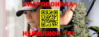 ПСИЛОЦИБИНОВЫЕ ГРИБЫ Свободный