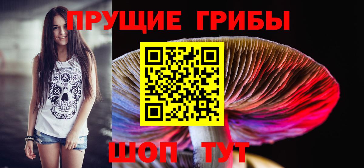 Галлюциногенные грибы MAGIC MUSHROOMS Саяногорск