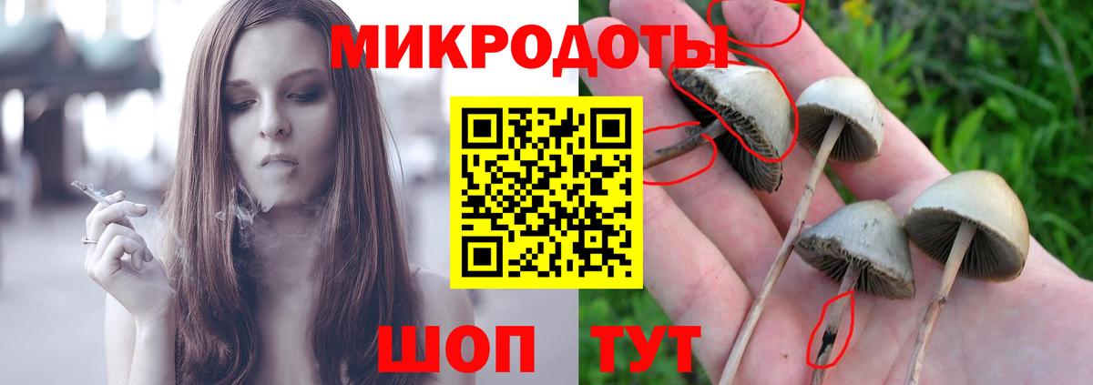 Галлюциногенные грибы MAGIC MUSHROOMS  Псилоцибиновые грибы Magic Shrooms  Саяногорск  Вход с VPN 